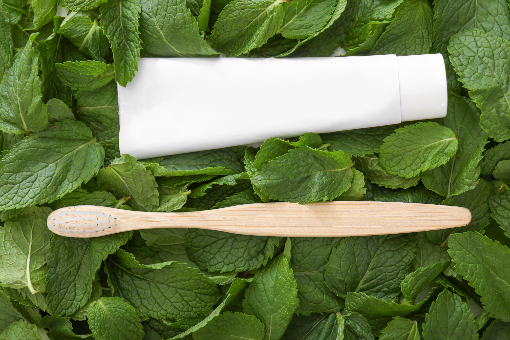 Wooden Toothbrush with Paste on Mint Leaves